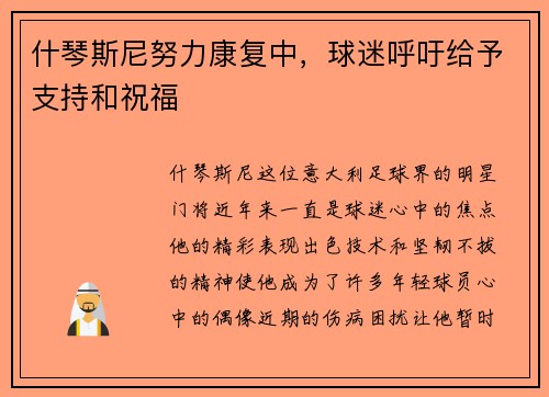 什琴斯尼努力康复中，球迷呼吁给予支持和祝福